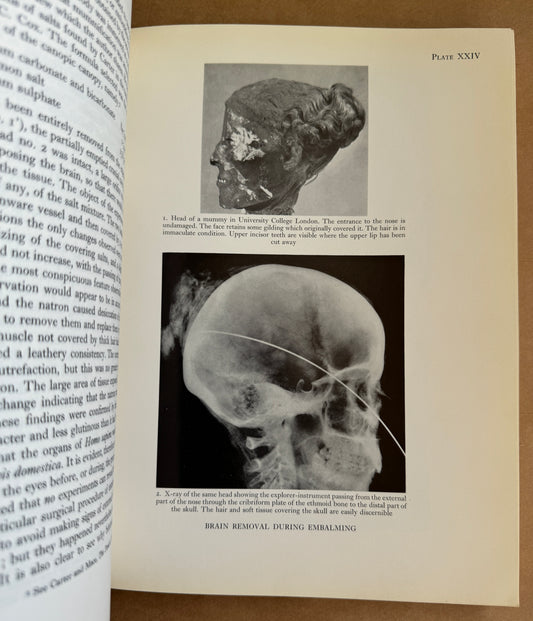 The Journal of Egyptian Archaeology; Vol 55 ; August 1969