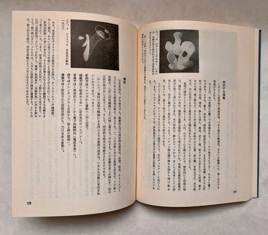 ザ ニュー ヴィジョン: ある芸術家の要約 / Za Nyū Vijon: Aru Geijutsuka No Yōyaku