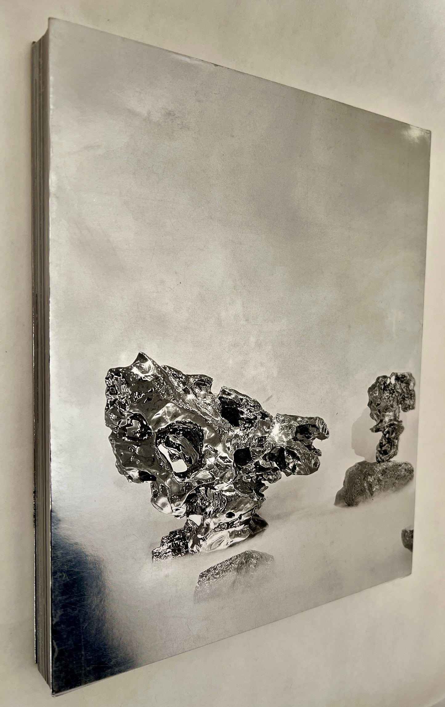 展望: 园林乌托邦 = Zhan Wang: Garden Utopia / Zhan Wang: Yuan Lin Wutuobang = Zhan Wang: Garden Utopia