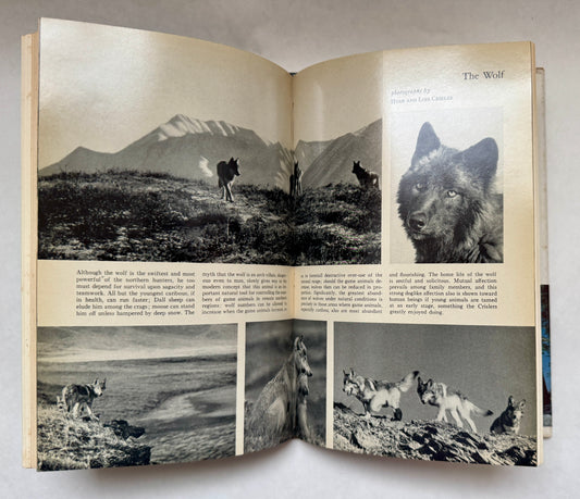 The Meaning of Wilderness to Science. Proceedings: 6th Biennial Wilderness Conference