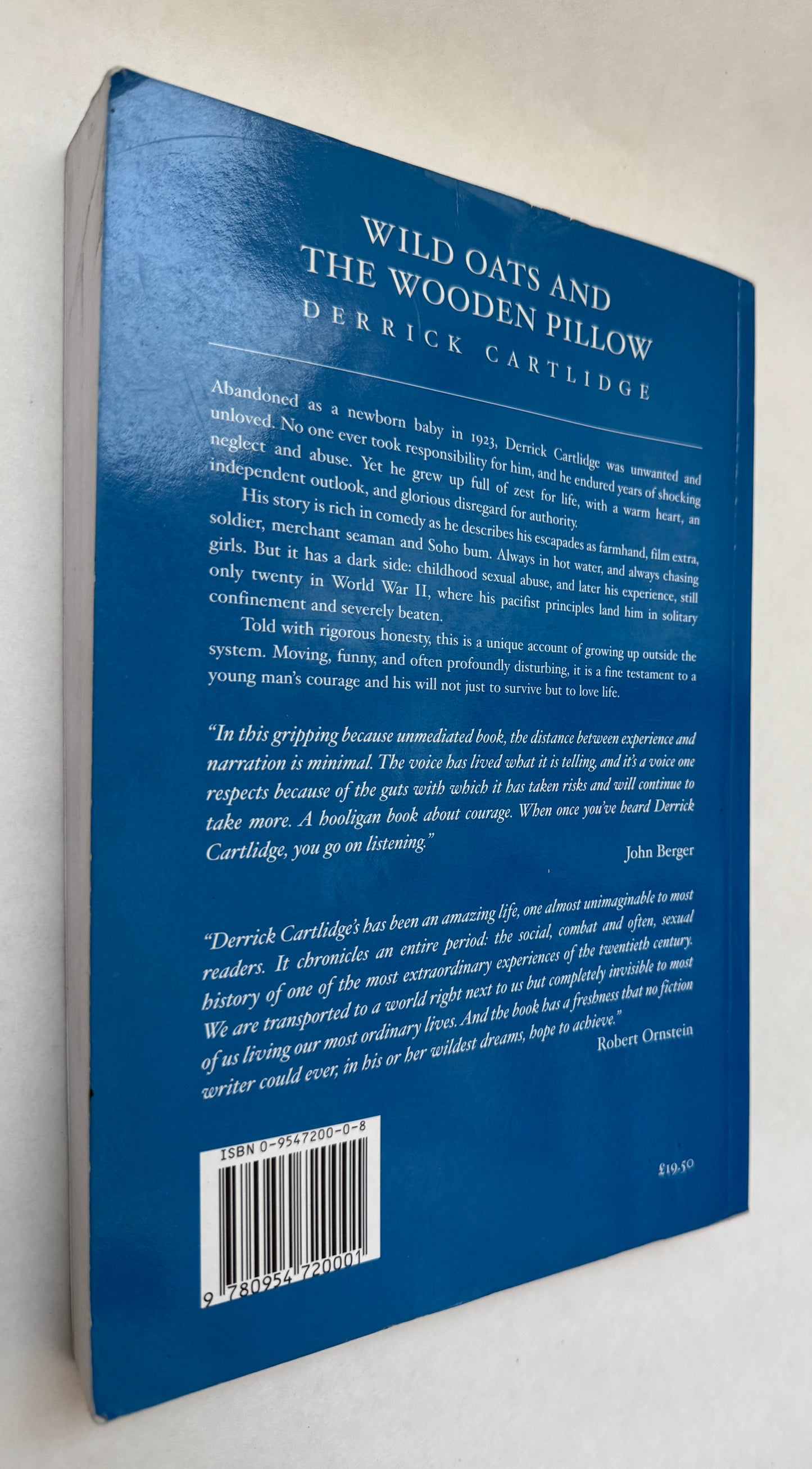 Wild Oats and the Wooden Pillow