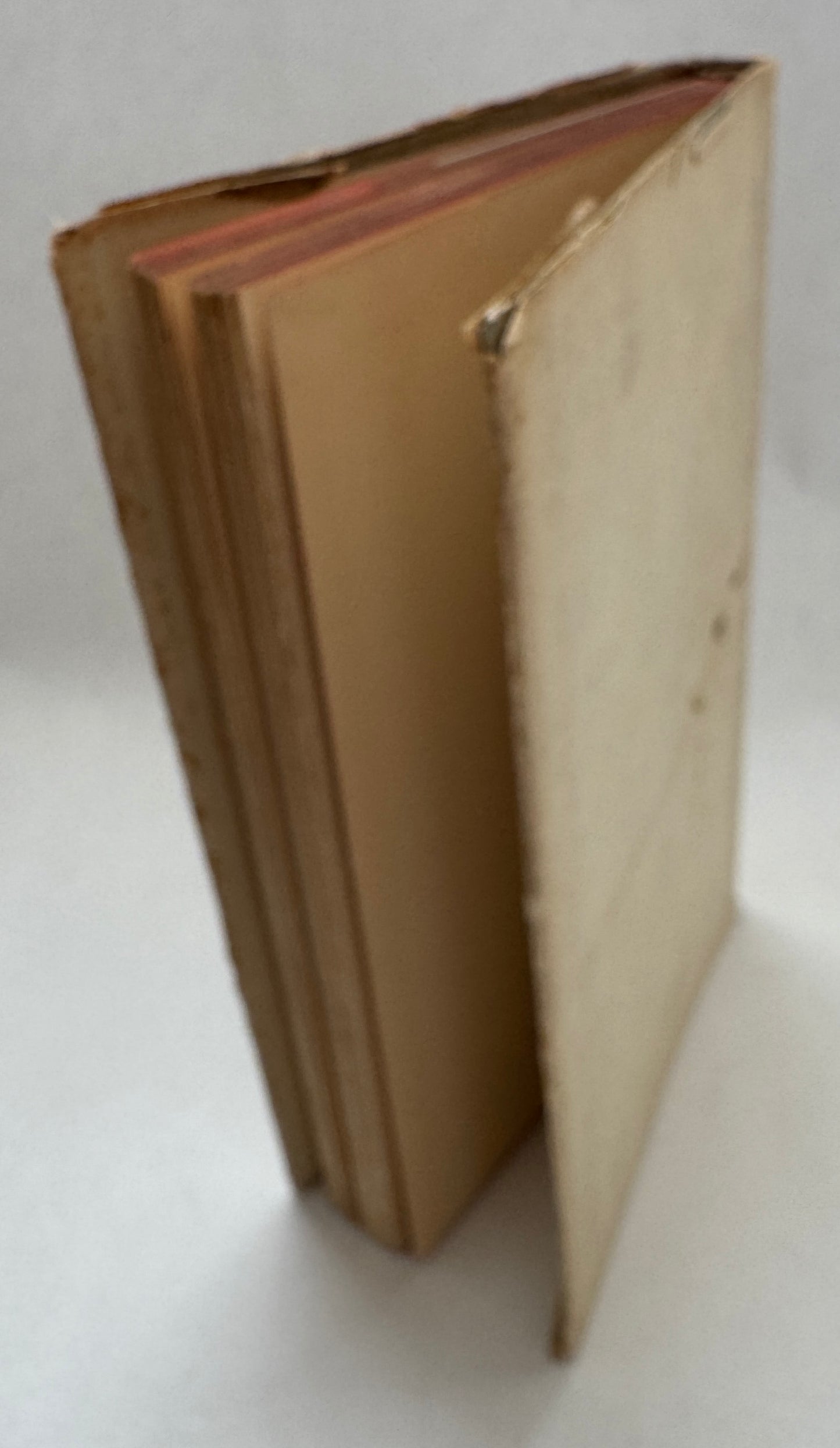 Das Stunden-Buch, Enthaltend Die Drei Bücher: Vom Moenschischen Leben, Von Der Pilgerschaft, Von Der Armuth Und Vom Tode.