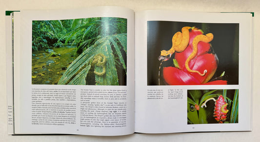 Vida Silvestre de Los Parques Nacionales y Reservas de Costa Rica = Wildlife of the National Parks and Reserves of Costa Rica