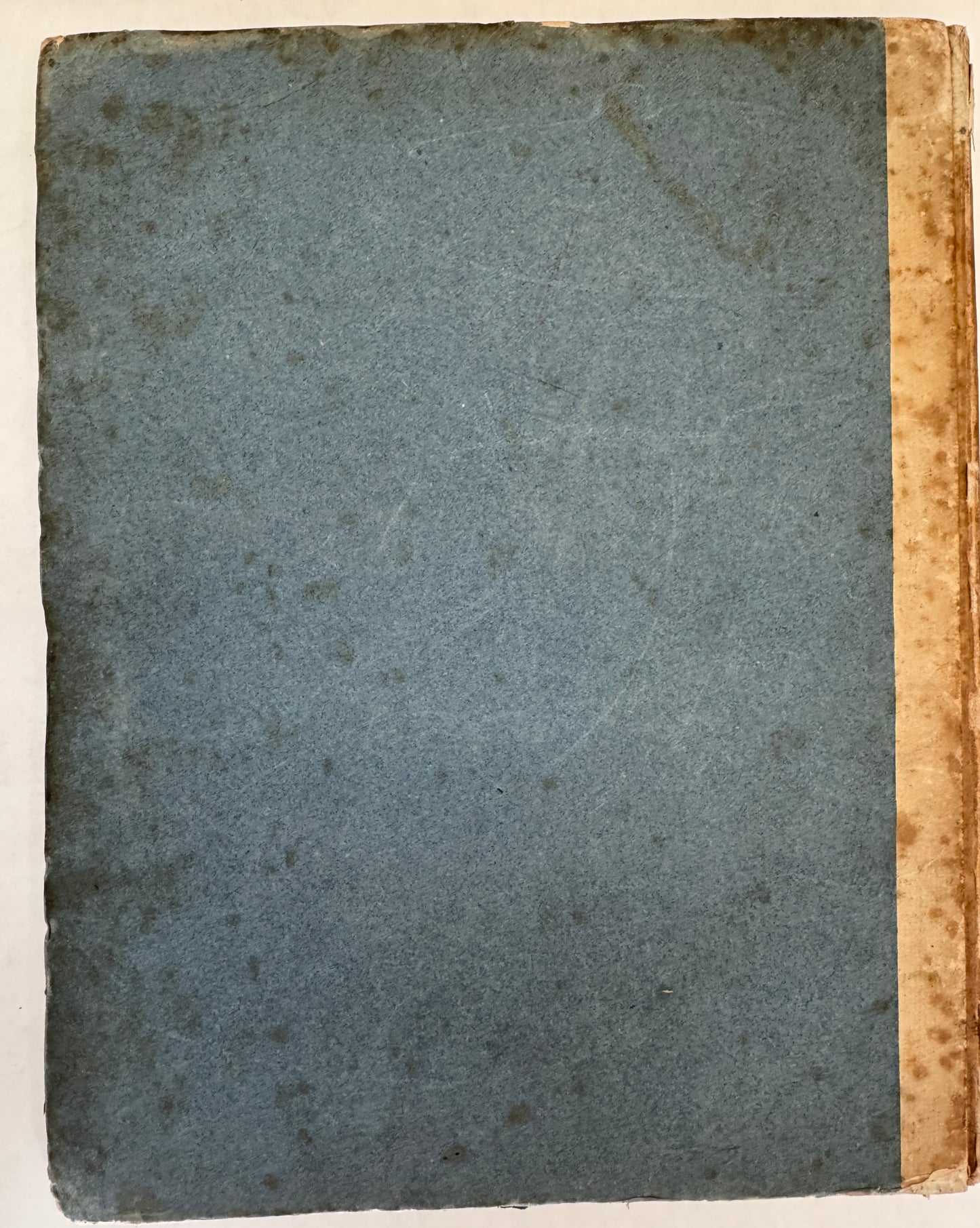 System der Pterylographie. Nach Seinen Handschriftlich Aufbewahrten Untersuchungen Verfasst