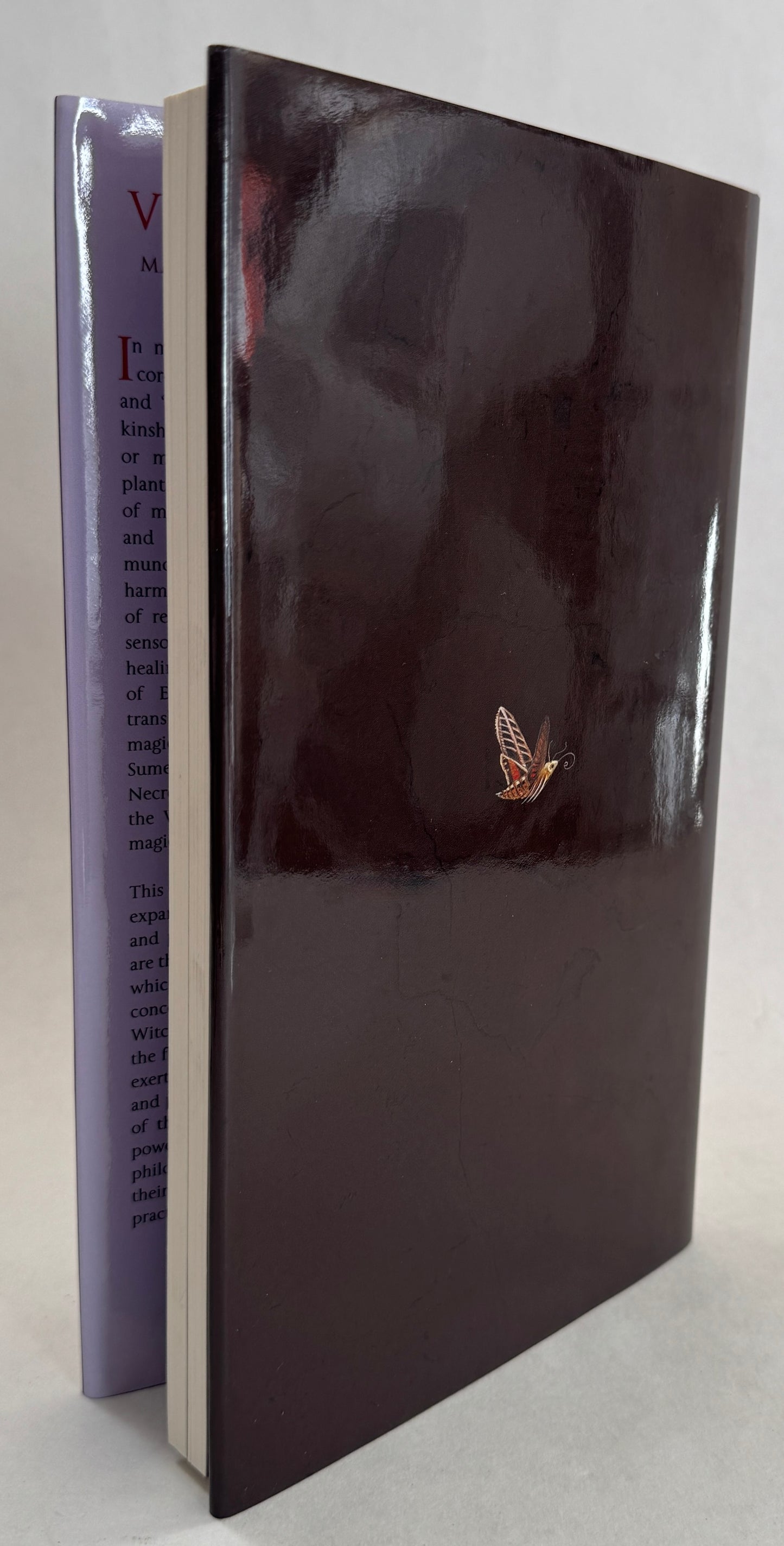 Veneficium: Magic, Witchcraft and the Poison Path