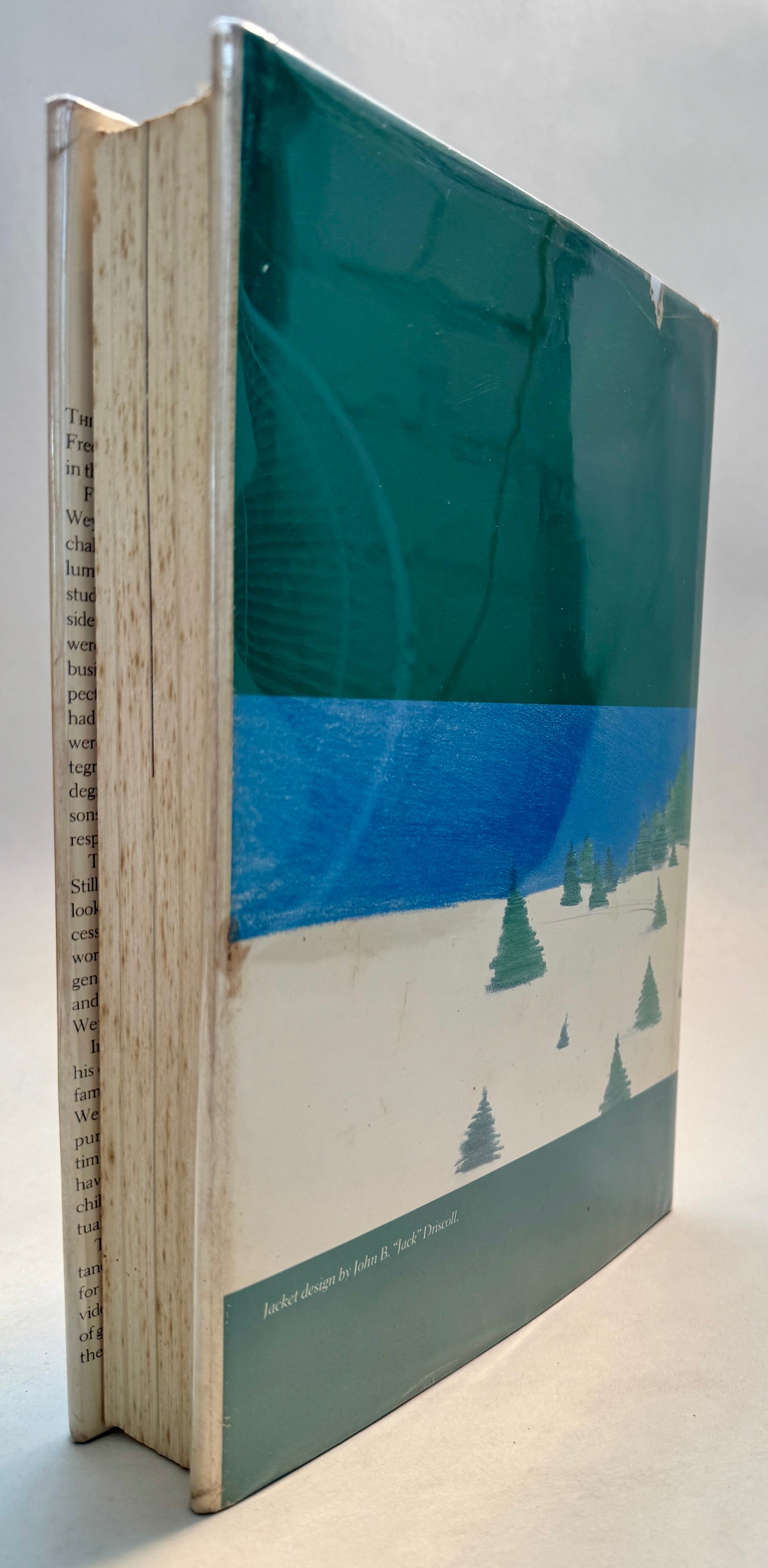 A Bundle of Sticks : The Story of a Family