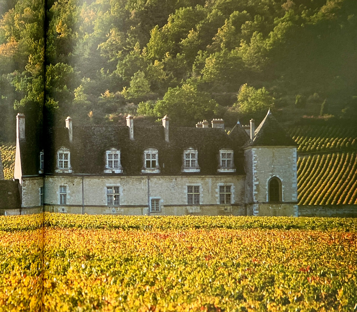 A Legend in Burgundy: Bouchard Aine & Fils, The Art of Wine