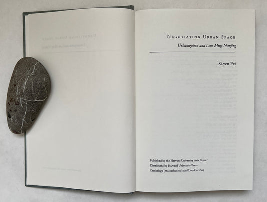 Negotiating Urban Space