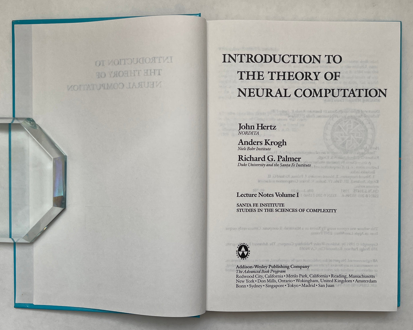 Introduction to the Theory of Neural Computation