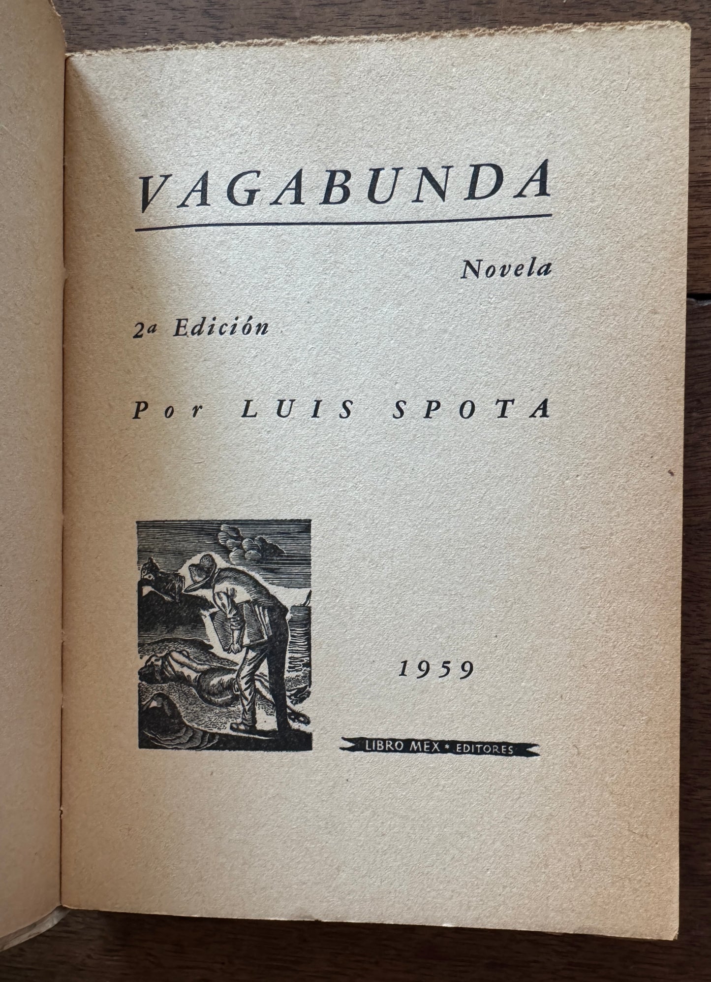 Vagabunda: Novela