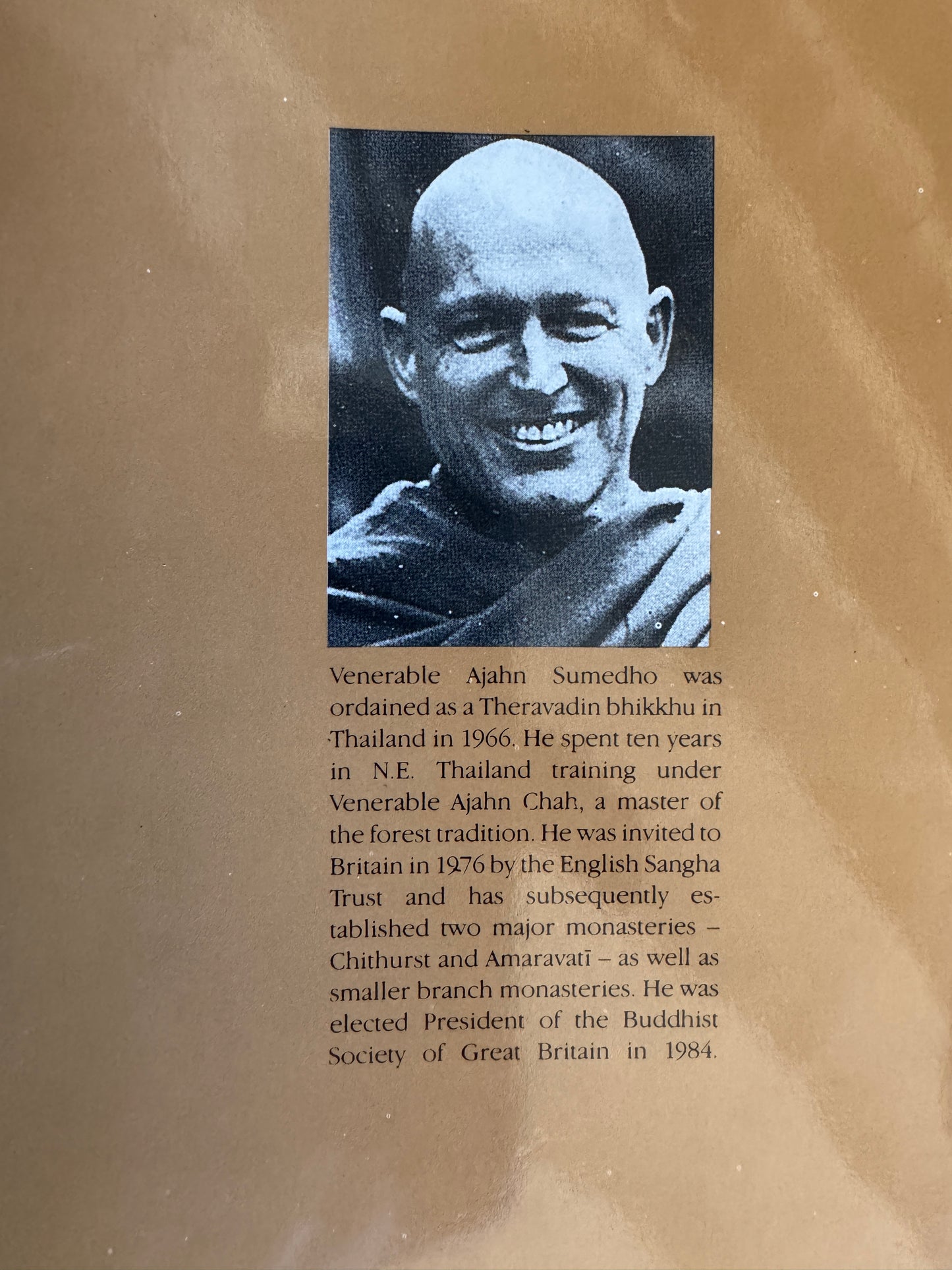 Mindfulness, the Path to the Deathless: the Meditation Teaching of Venerable Ajahn Sumedho. Uniform Title: Speeches. Selections