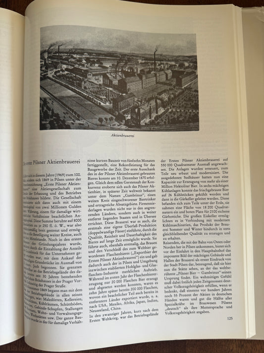 Pilsen Heimatstadt Seiner Deutschen Bewohner und Metropole and der Sprachgrenze ; Ein Lesebuch