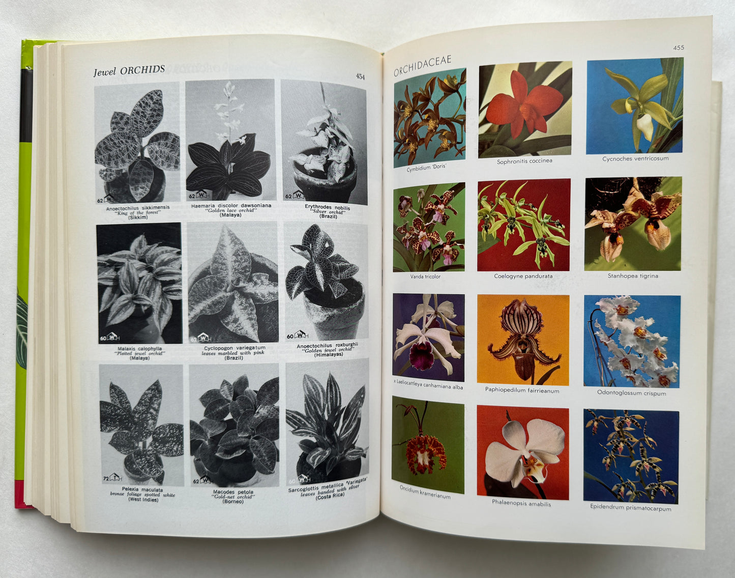 Exotic Plant Manual; Fascinating Plants to Live With--Their Requirements, Propagation, and Use