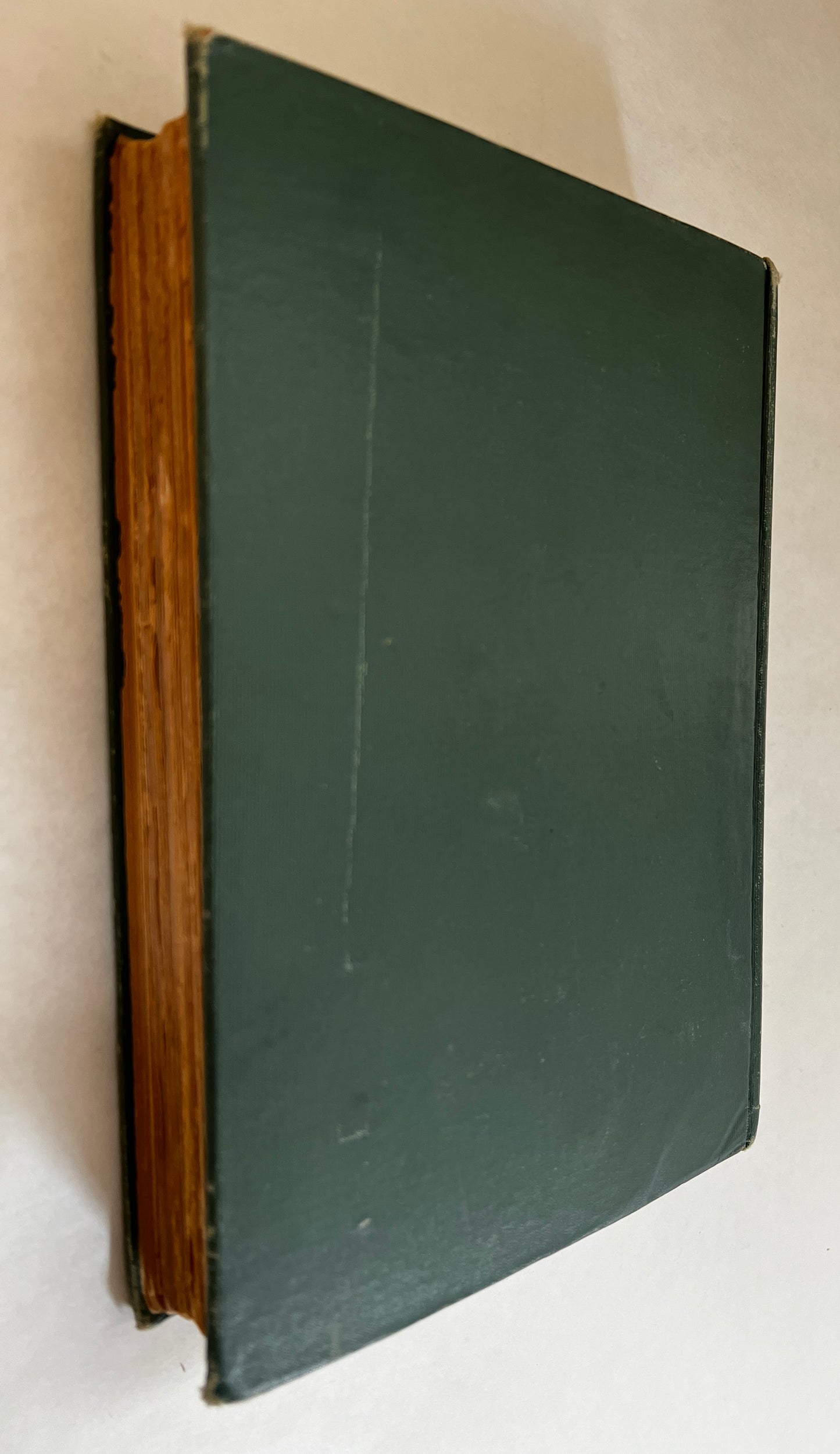 Camp-Fires in the Canadian Rockies