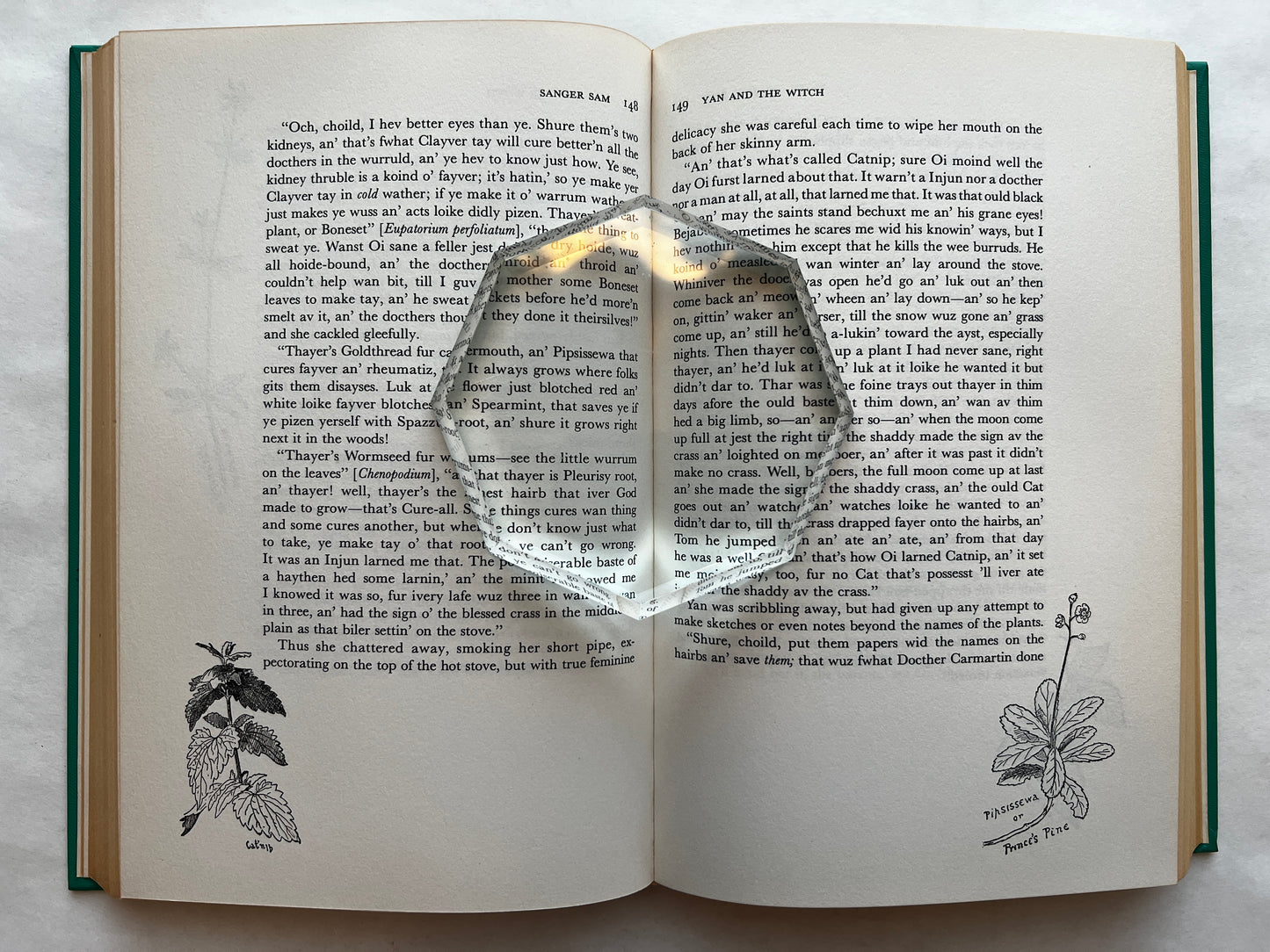 Two Little Savages: Being the Adventures of Two Boys Who Lived As Indians and What They Learned