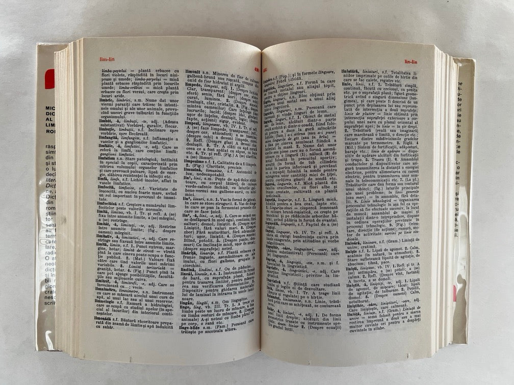 Mic Dictionar Al Limbii Romane = Miciliu Dicționar Al Limbii Române