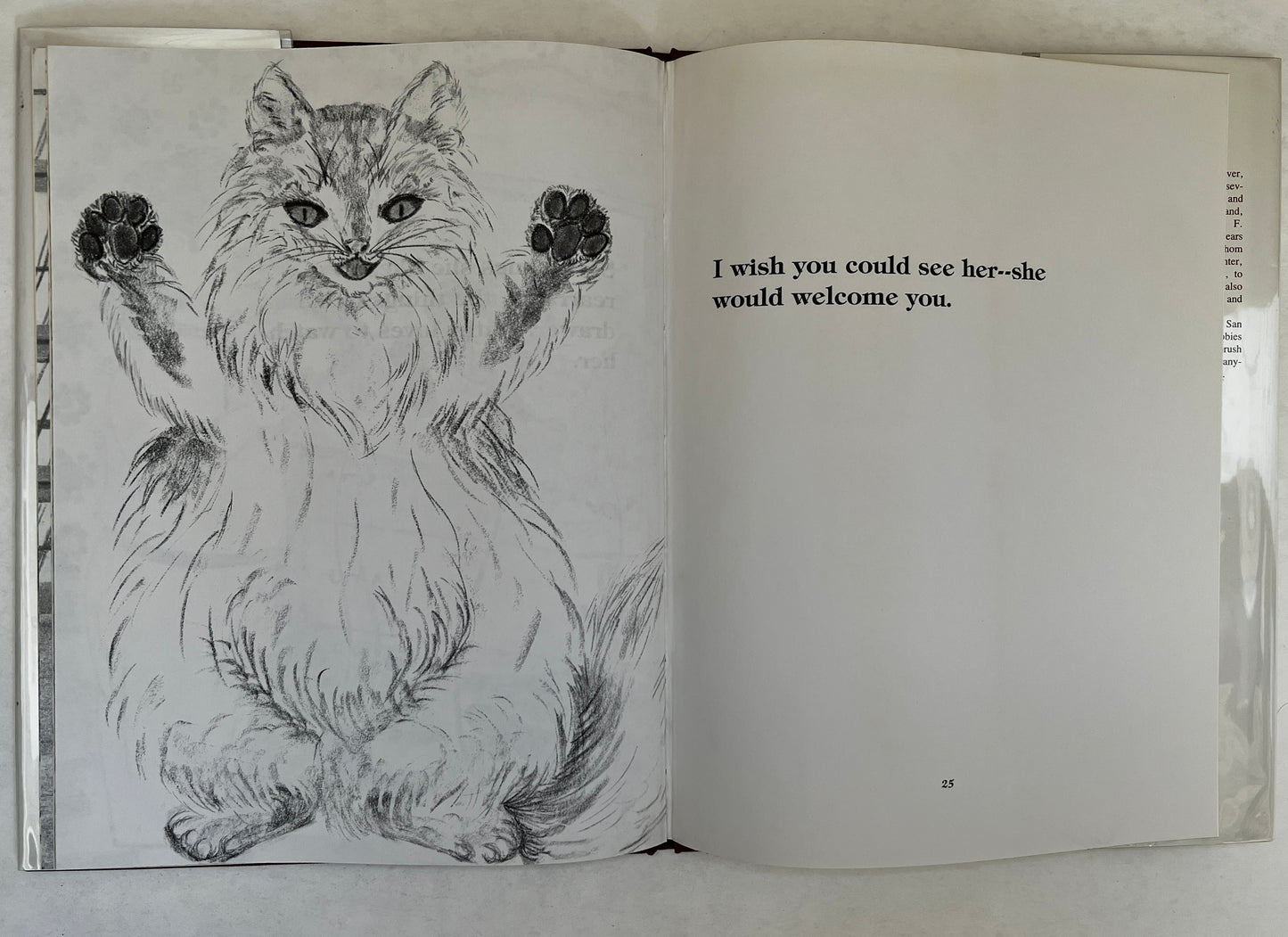 Zun Zun - a True Story