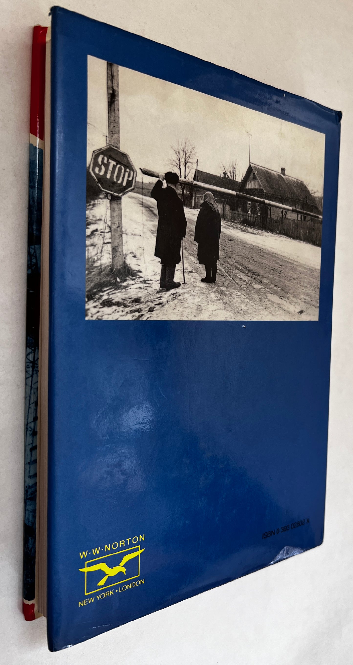 The Legacy of Chernobyl