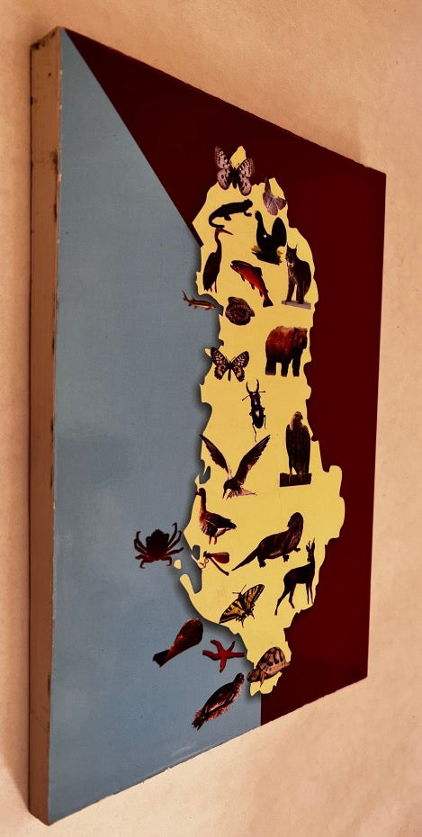 Libri I Kuq I Faunes Shqiptare