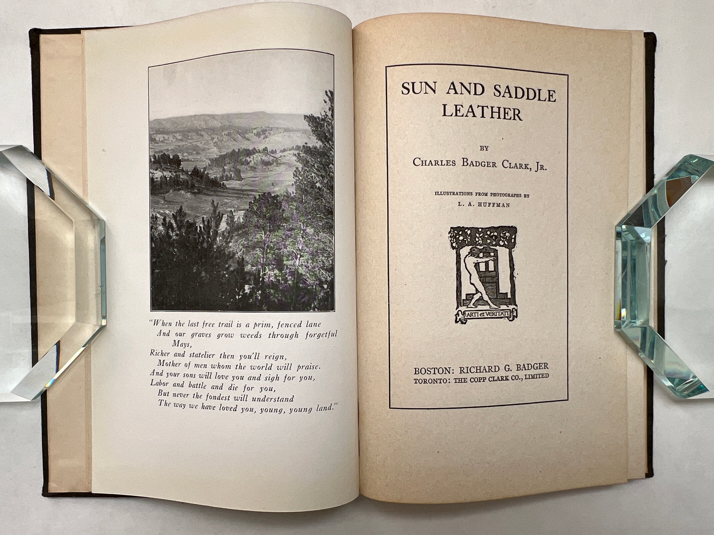 Sun and Saddle Leather