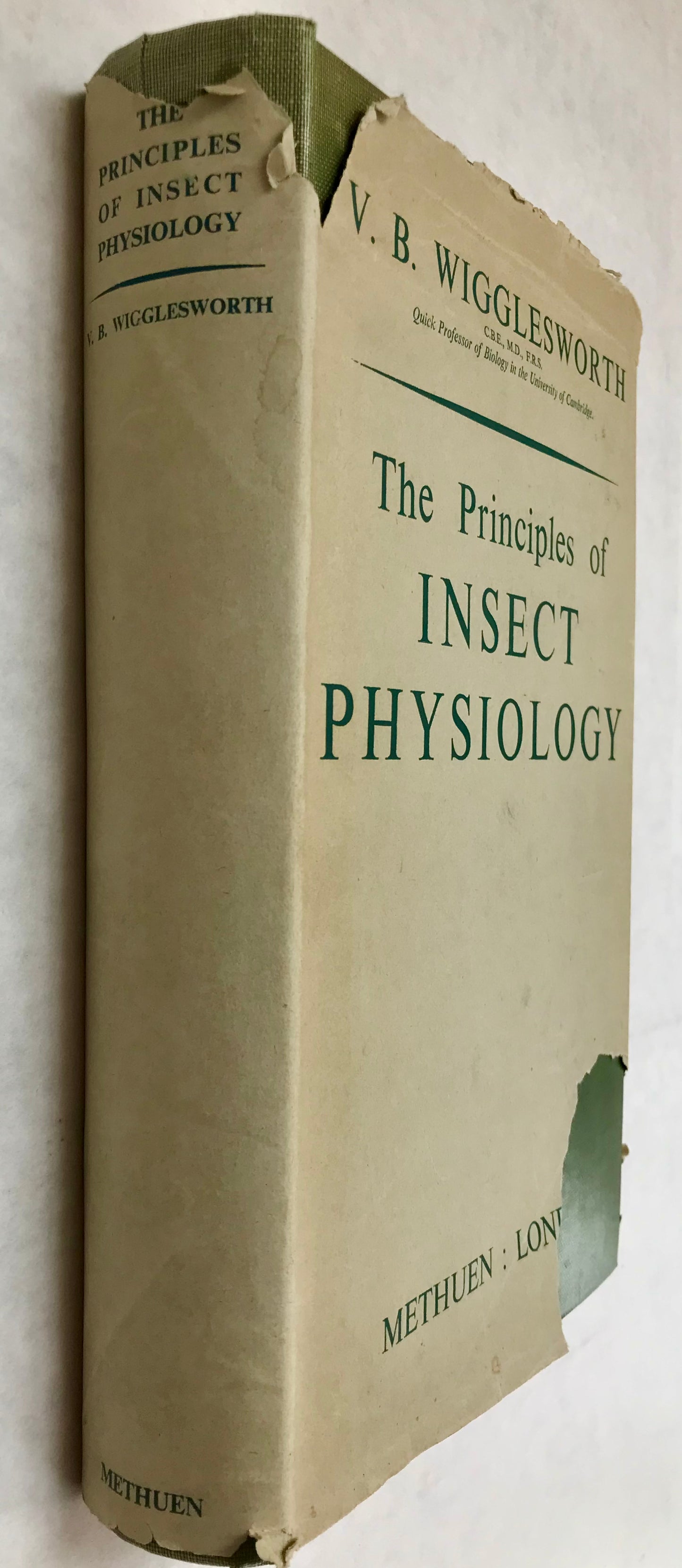 The Principles of Insect Physiology