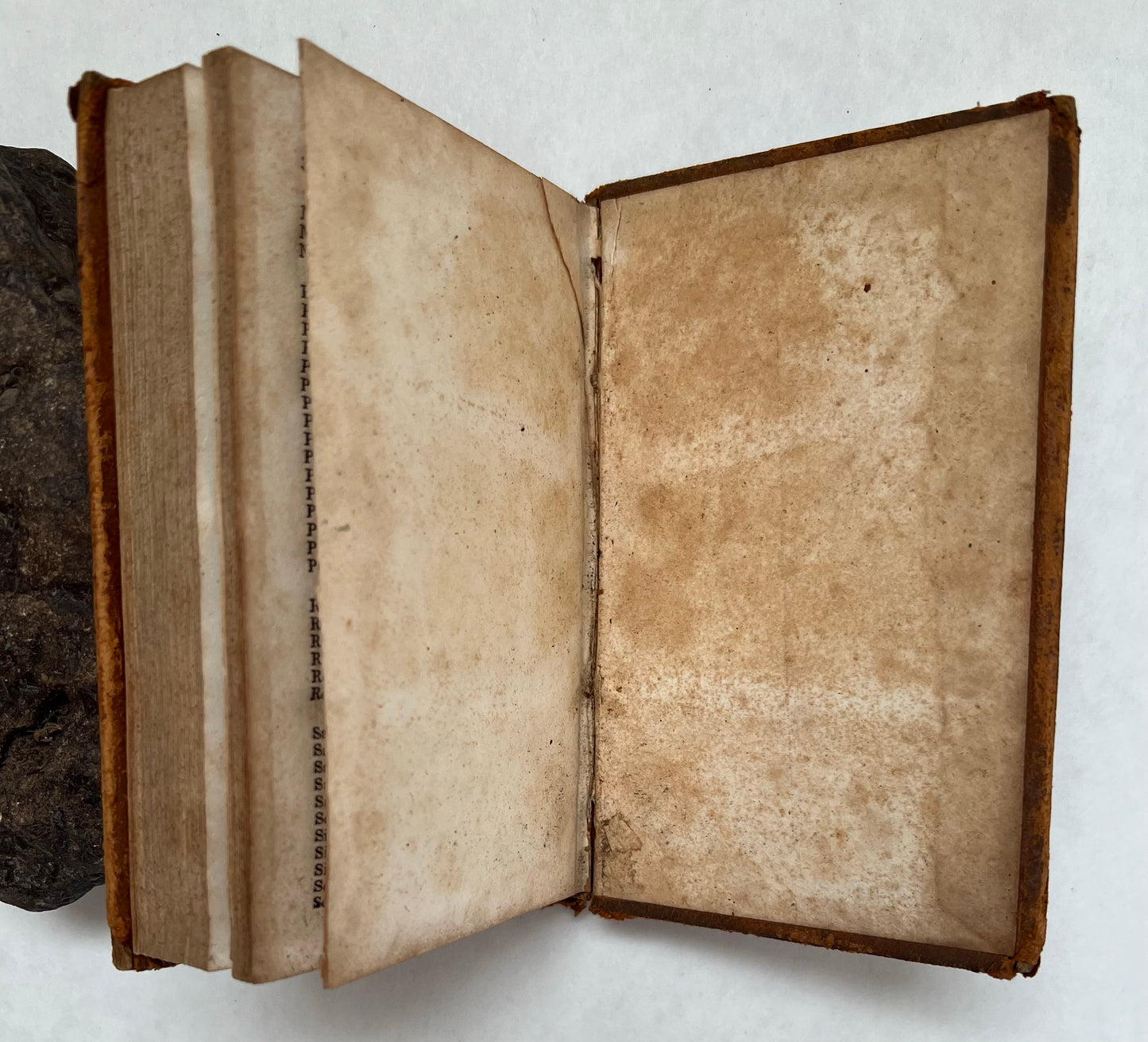 The Teacher's Assistant