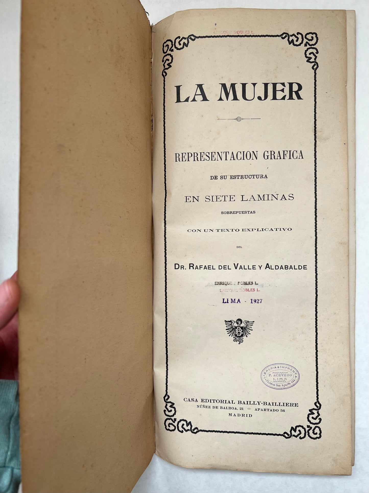 La Mujer; Representacion Grafica de Su Estructura en Siete Laminas Sobrepuestas