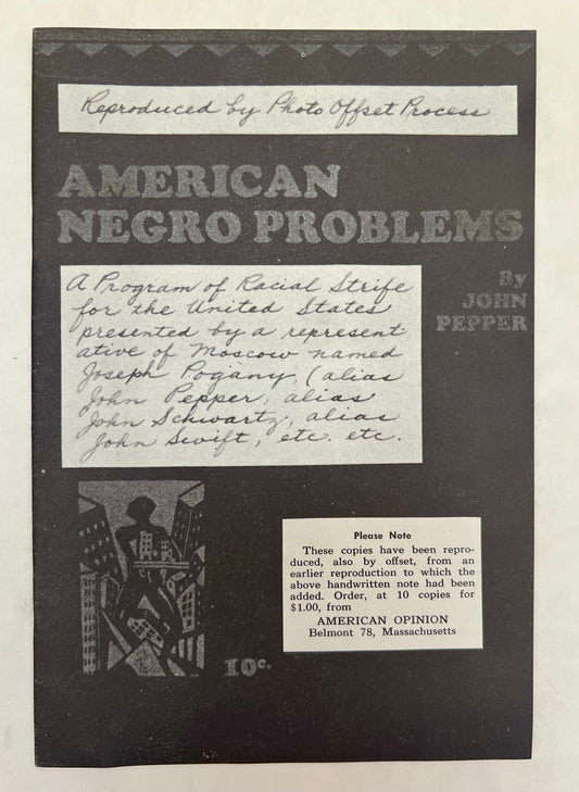 American Negro Problems