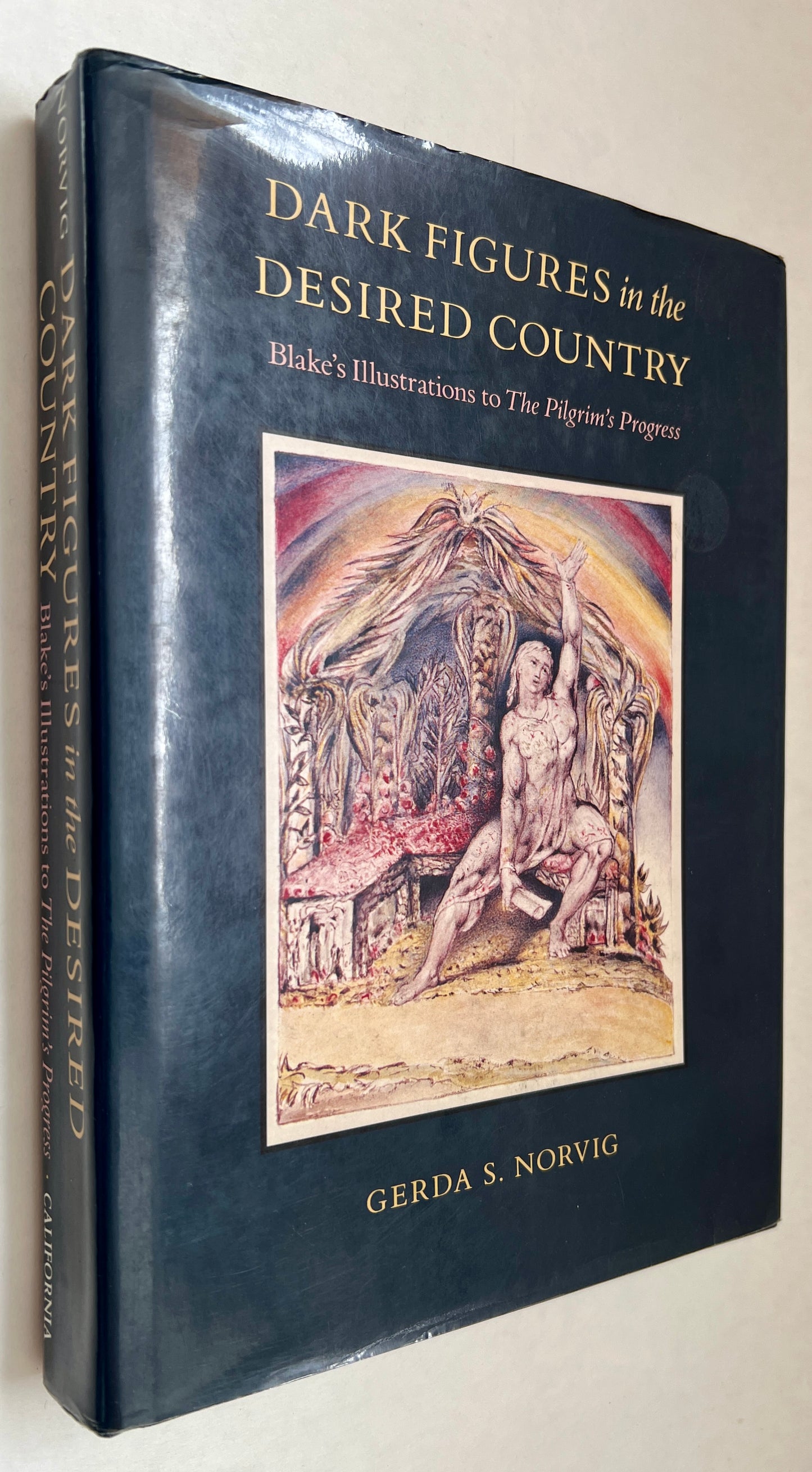 Dark Figures in the Desired Country: Blake's Illustrations to the Pilgrim's Progress