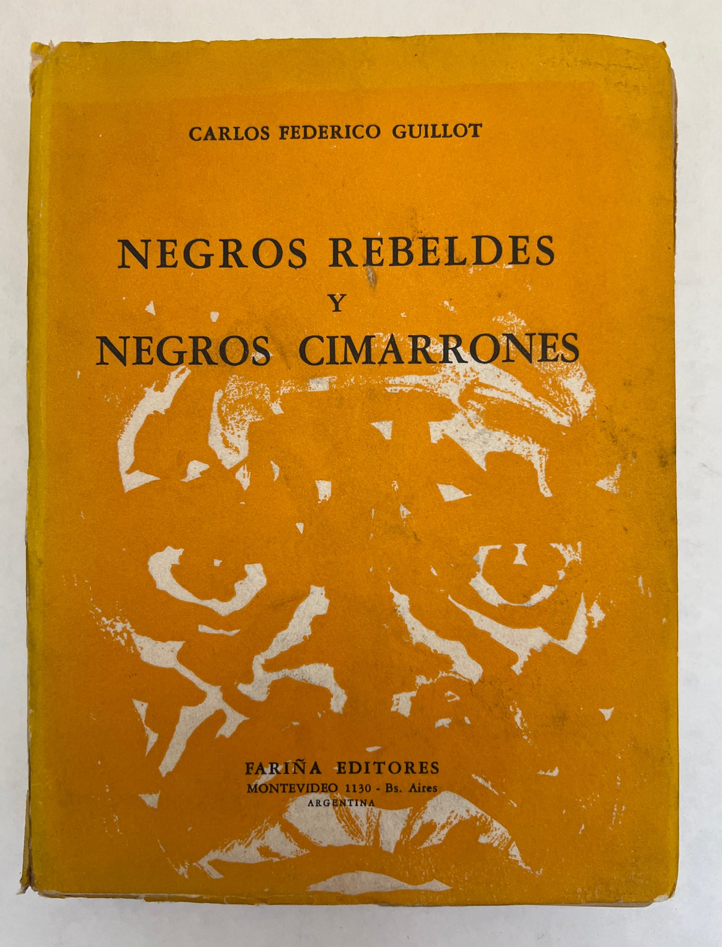 Negros Rebeldes y Negros Cimarrones; Perfil Afroamericano en la Historia del Nuevo Mundo Durante El Siglo XVI