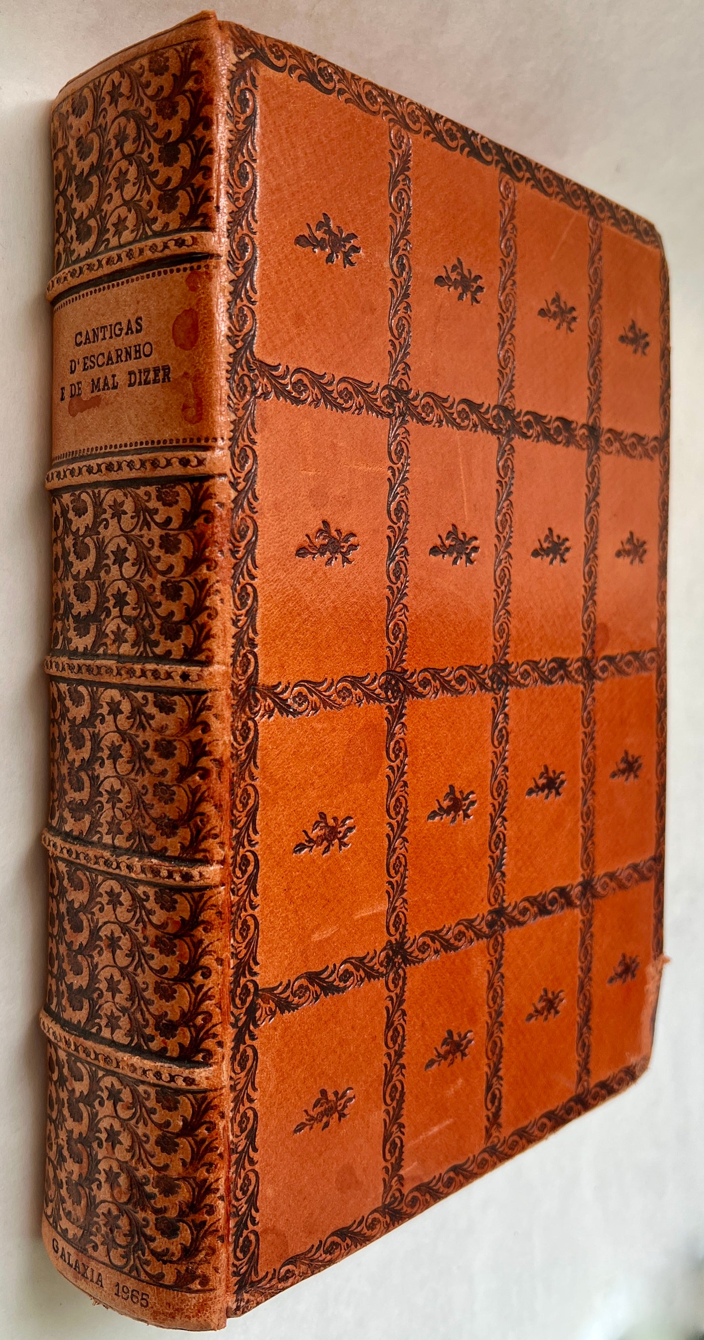 Cantigas d'Escarnho e de Mal Dizer: Dos Cancioneiros Medievais Galego-Portugueses ;