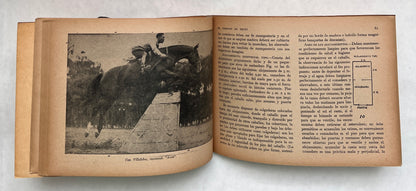 El Caballo de Salto: Su Adiestramiento y Cuidado