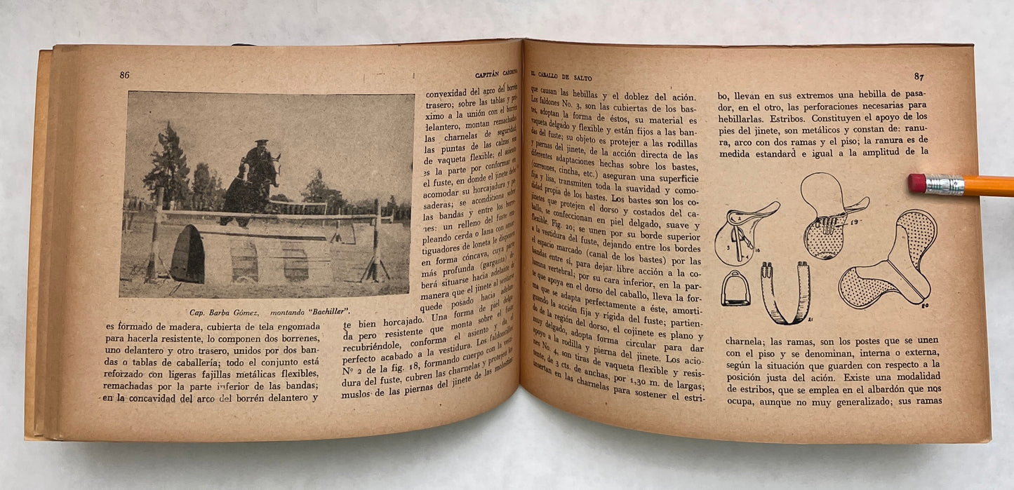 El Caballo de Salto: Su Adiestramiento y Cuidado