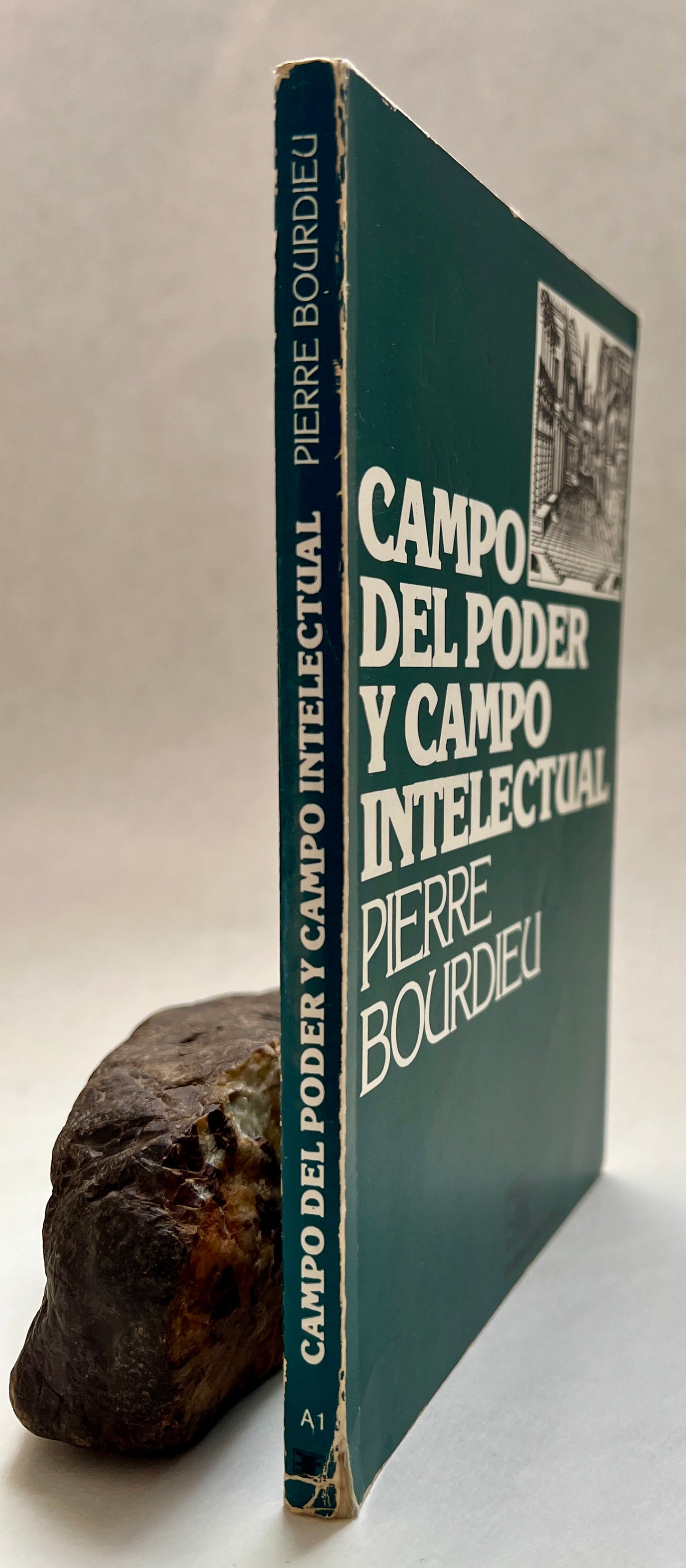 Campo del Poder y Campo Intelectual