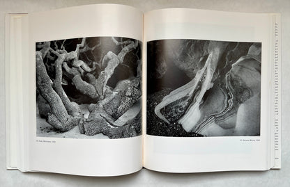 The Daybooks of Edward Weston; California