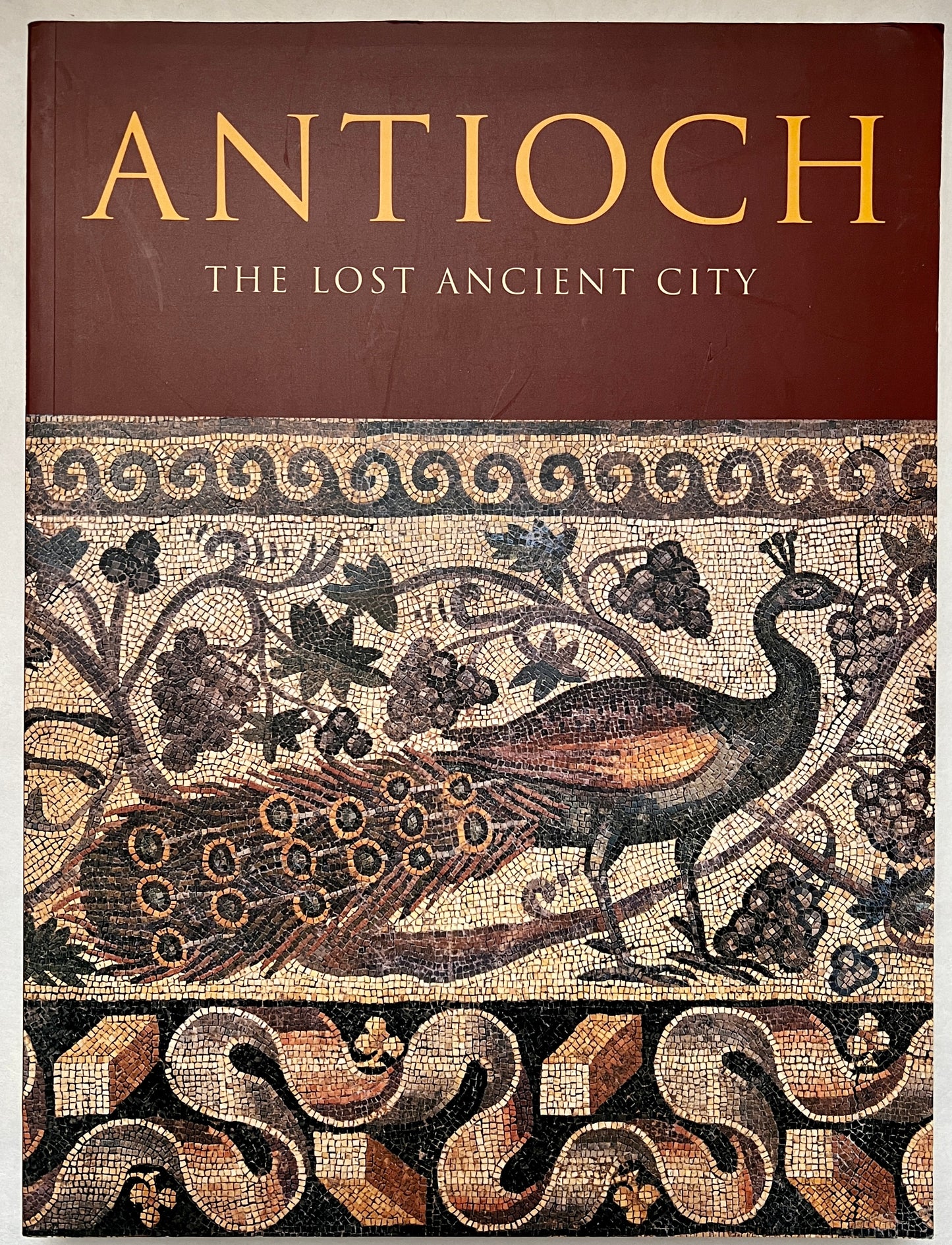 Antioch: The Lost Ancient City