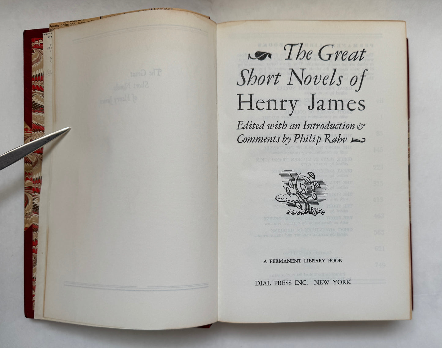 The Great Short Novels of Henry James [custom fine binding]