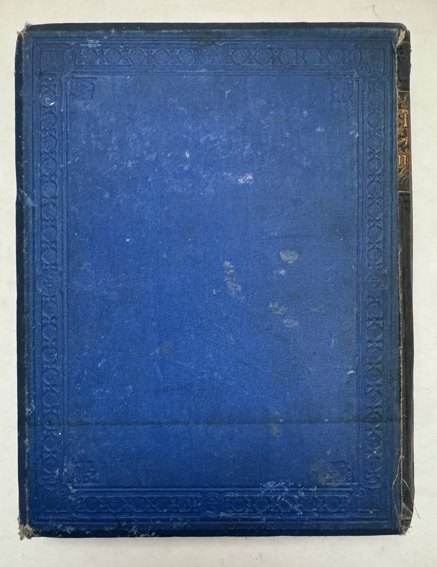 The Sea and Its Wonders: A Companion Volume to 'The World At Home'