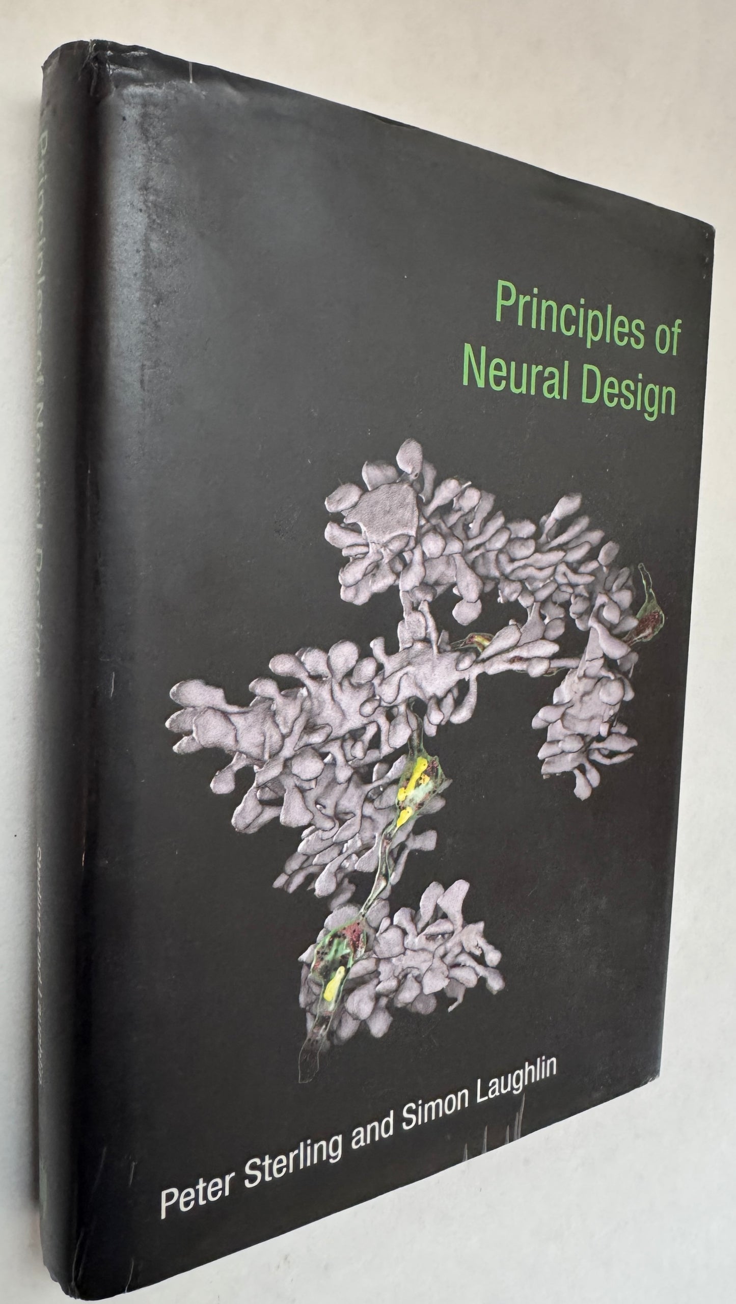 Principles of Neural Design