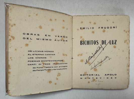 Bichitos de Luz