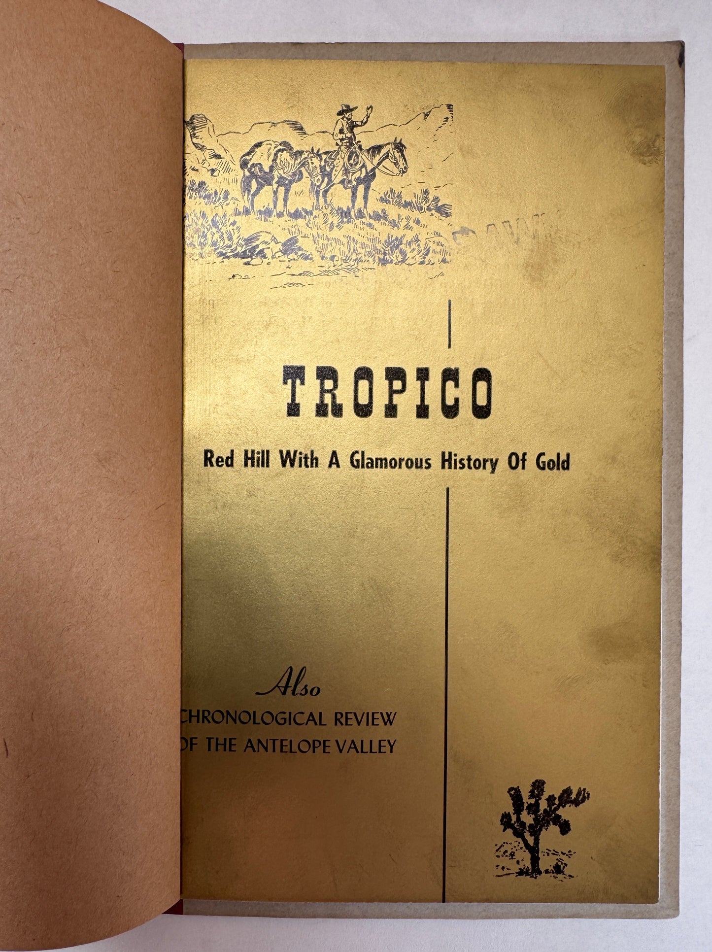 Tropico: Red Hill With a Glamorous History of Gold ; Also Chronological Review of the Antelope Valley