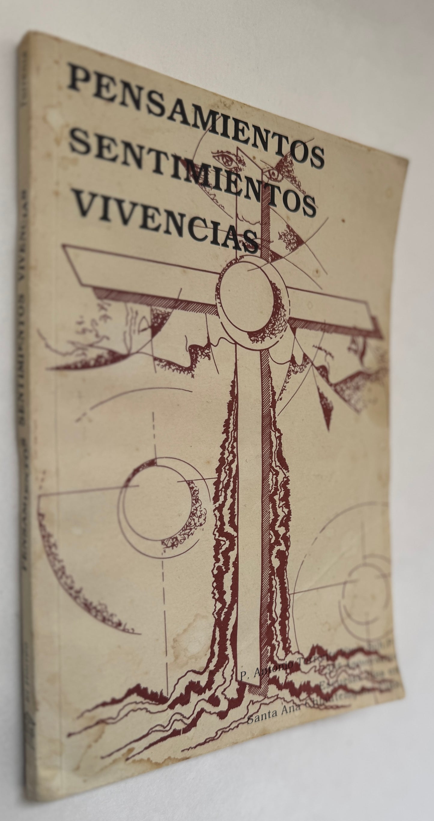 Pensamientos Sentinientos Vivencias