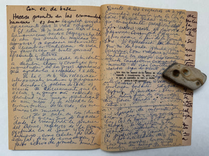 Paginas de Lucha