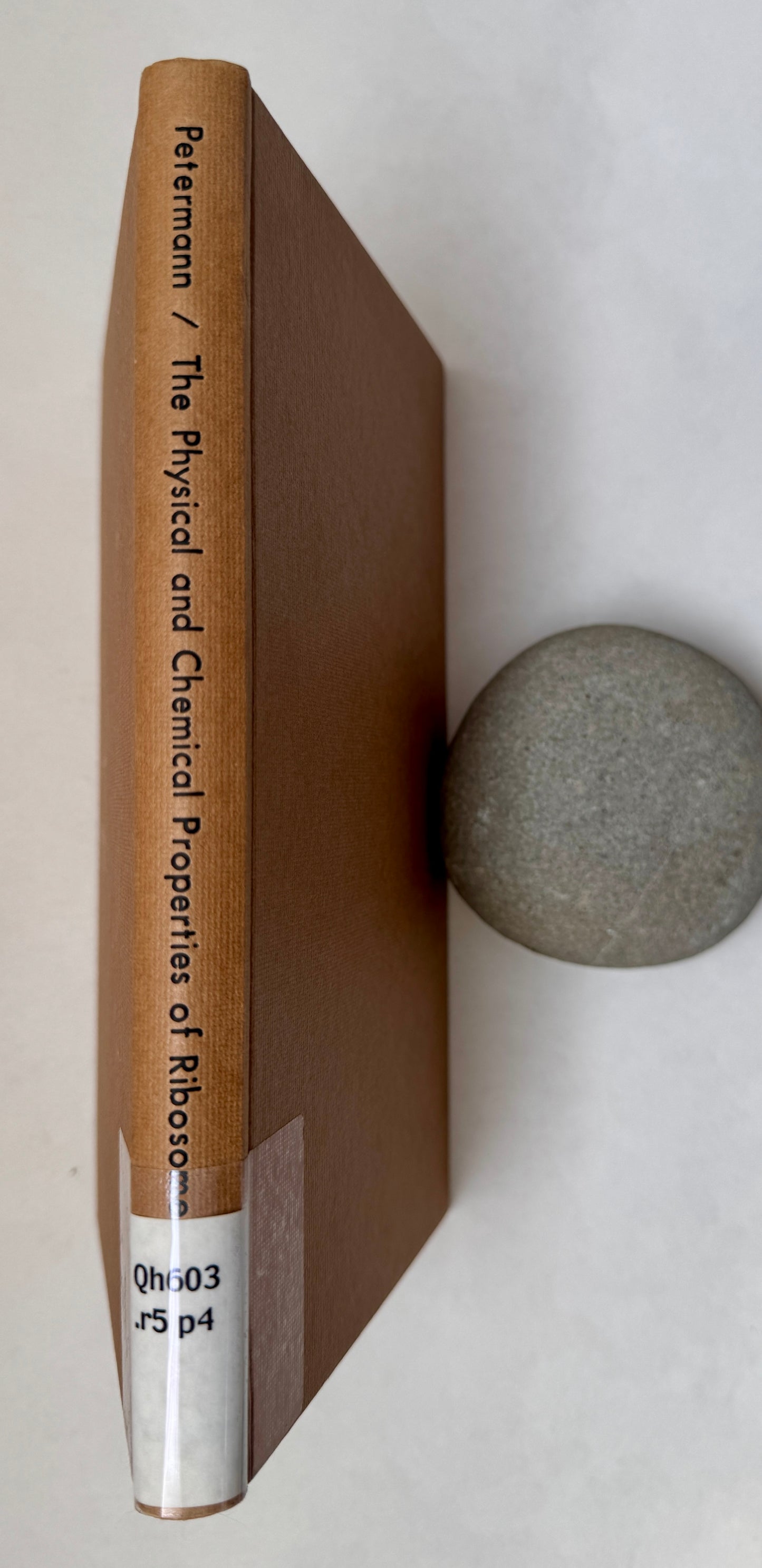 The Physical and Chemical Properties of Ribosomes