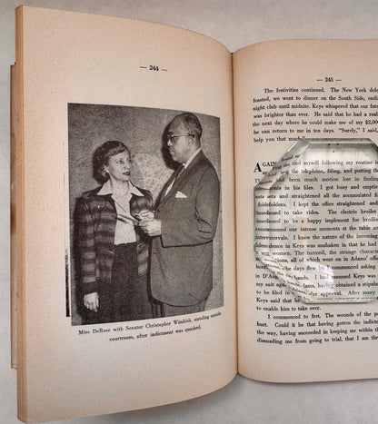 The Camille Derose Story