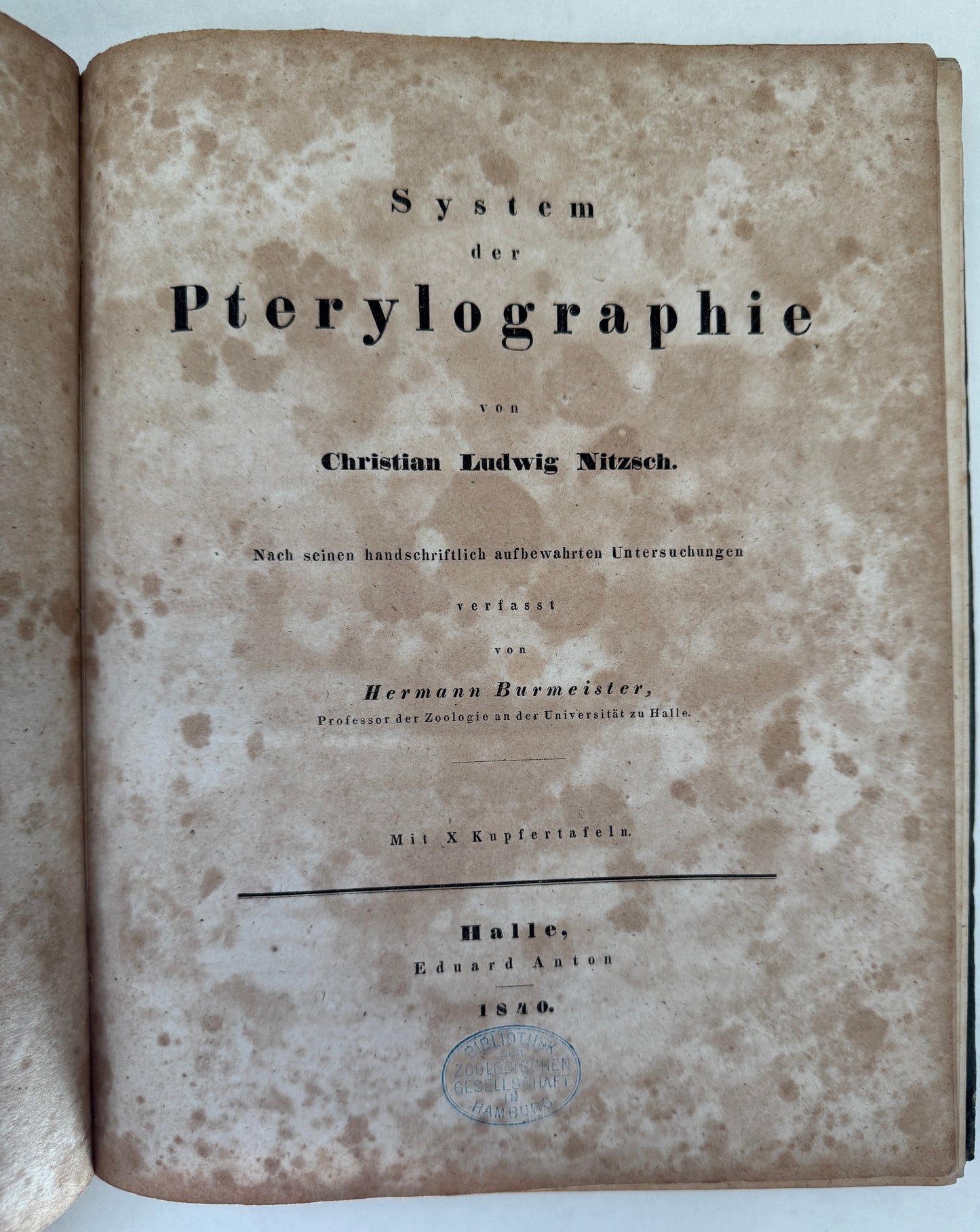 System der Pterylographie. Nach Seinen Handschriftlich Aufbewahrten Untersuchungen Verfasst