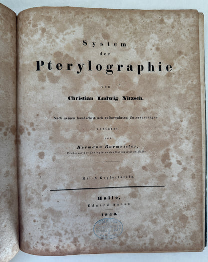 System der Pterylographie. Nach Seinen Handschriftlich Aufbewahrten Untersuchungen Verfasst