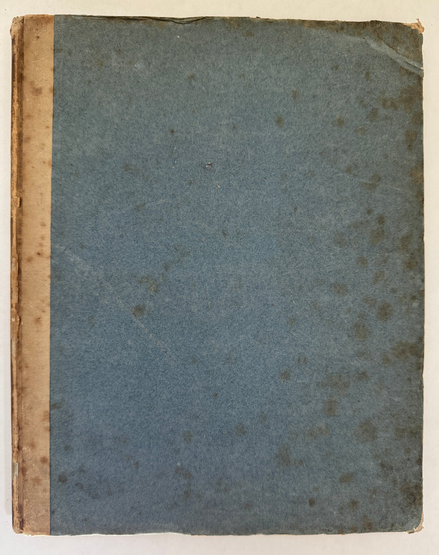 System der Pterylographie. Nach Seinen Handschriftlich Aufbewahrten Untersuchungen Verfasst