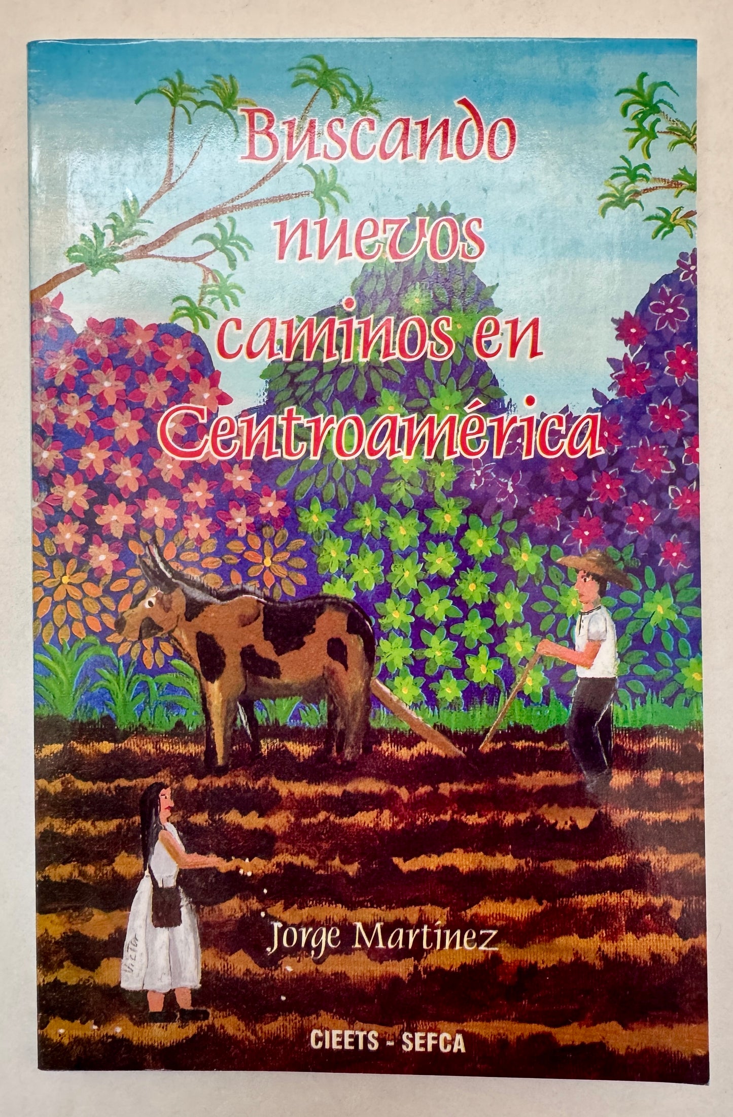 Buscando Nuevos Caminos en Centro América