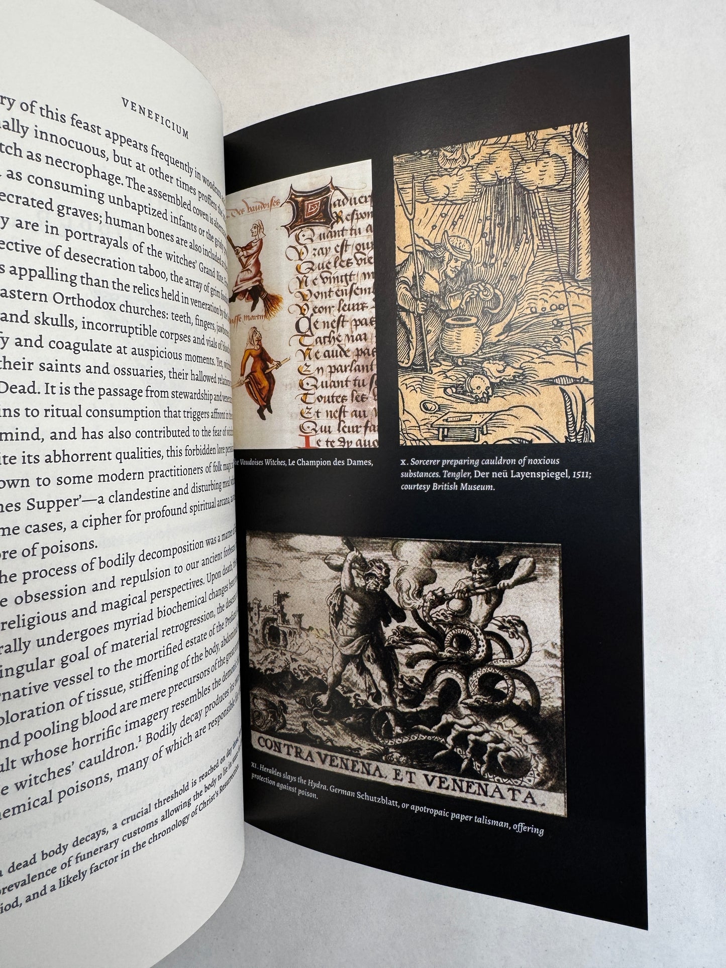 Veneficium: Magic, Witchcraft and the Poison Path